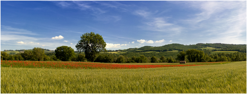 La mia Toscana