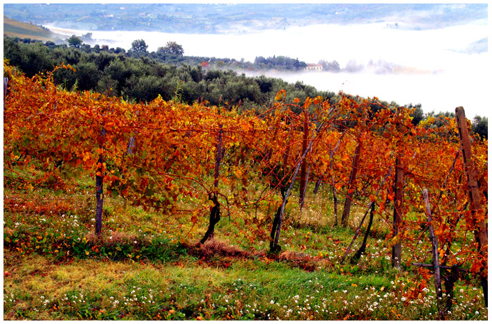 La mia Toscana..............