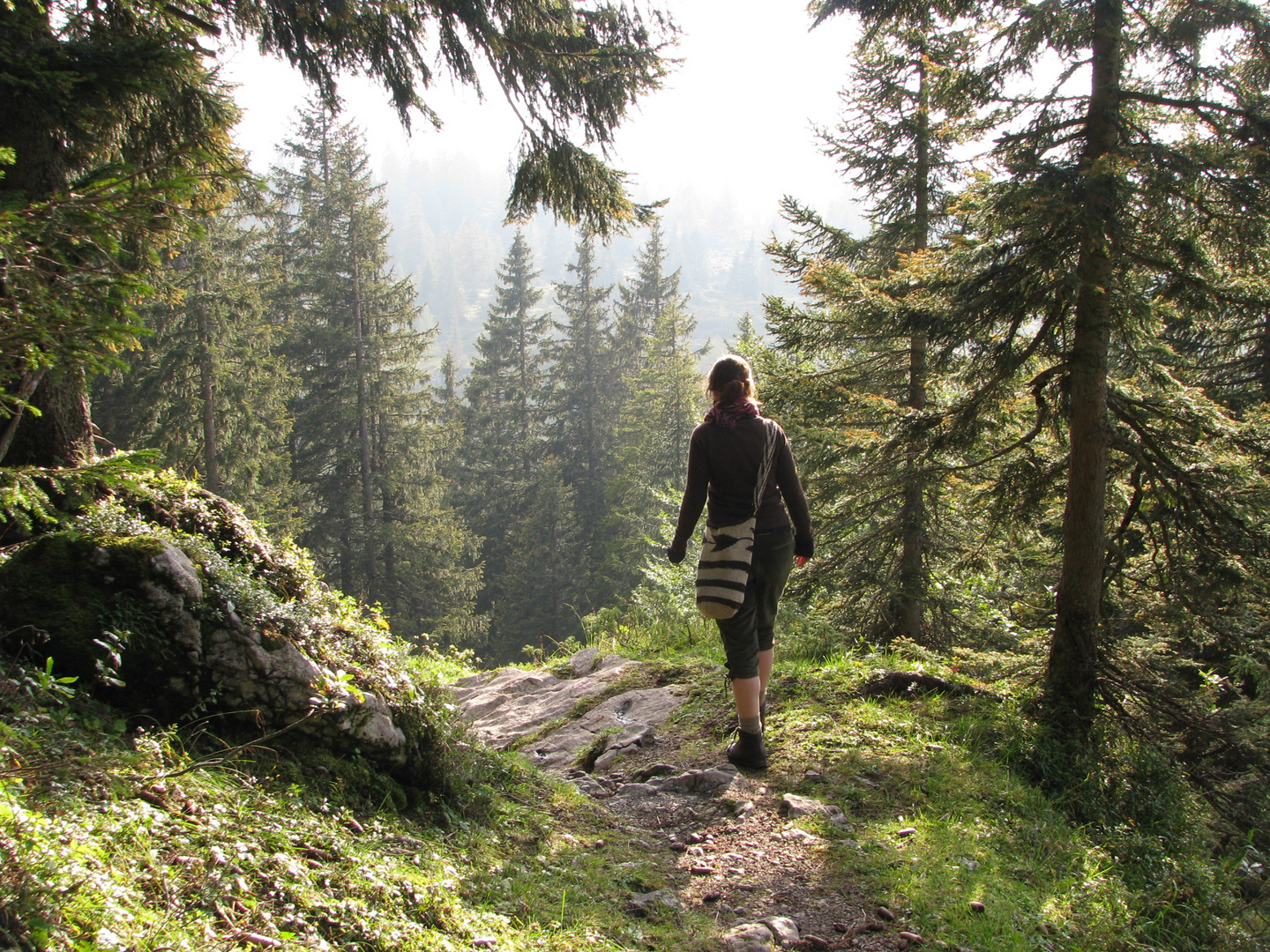 la Mochila de St.Marta... in den heimischen Alpen