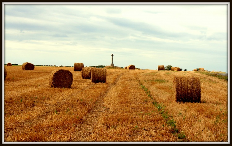 la moisson