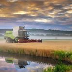 La moisson