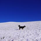 La Monny sulla neve