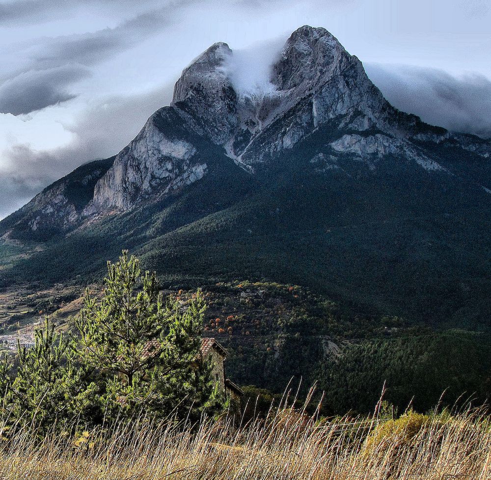 LA MONTAÑA ENCANTADA de joan soldevila adan 