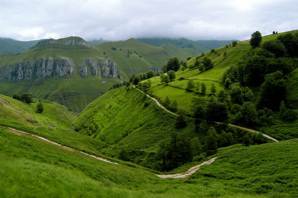 La montaña verde