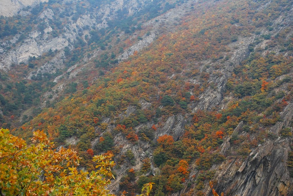 la montagna dipinta con i colori d'autunno