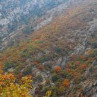 la montagna dipinta con i colori d'autunno