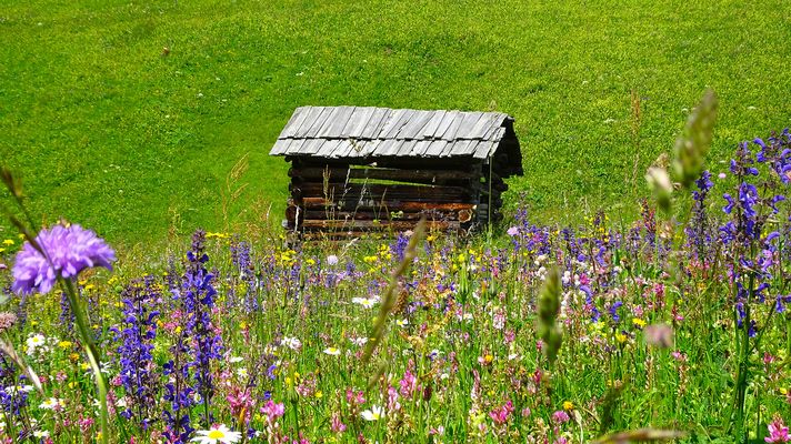 La montagna in festa