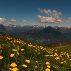 La montagna ritrovata...