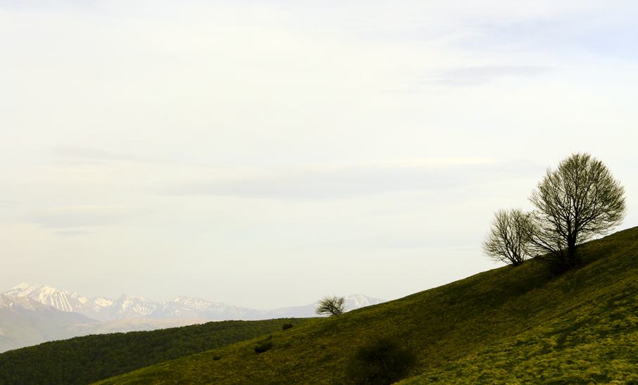 La montagna sopra Norcia 1