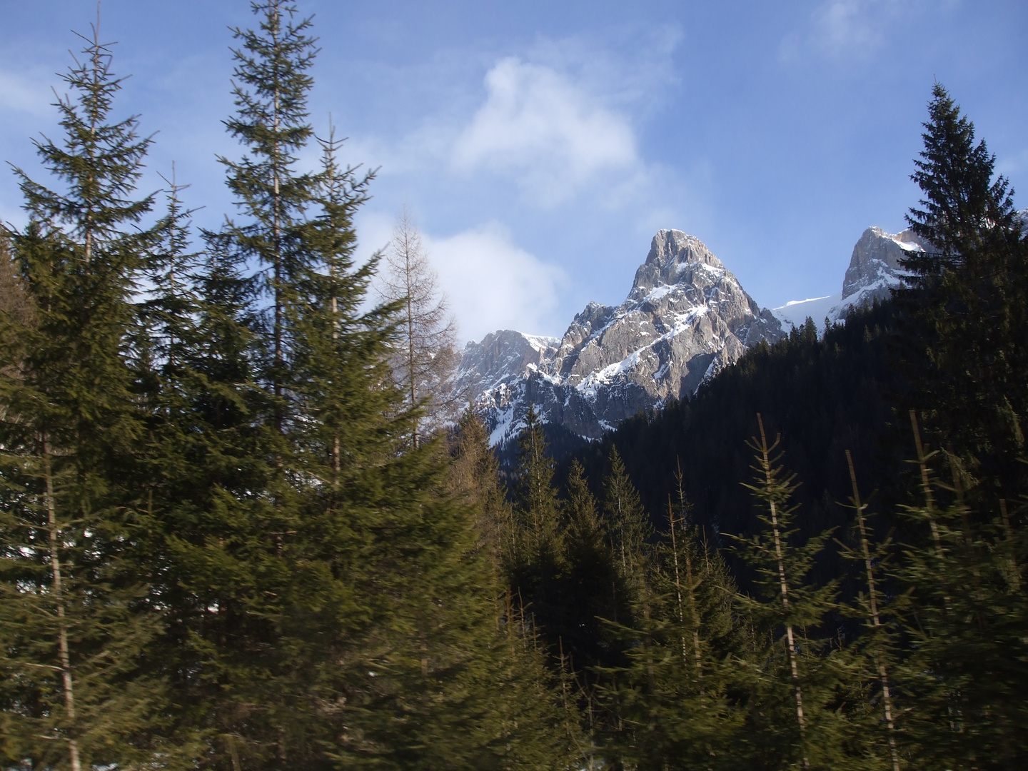 La montagna sulle foreste