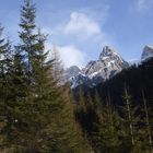 La montagna sulle foreste