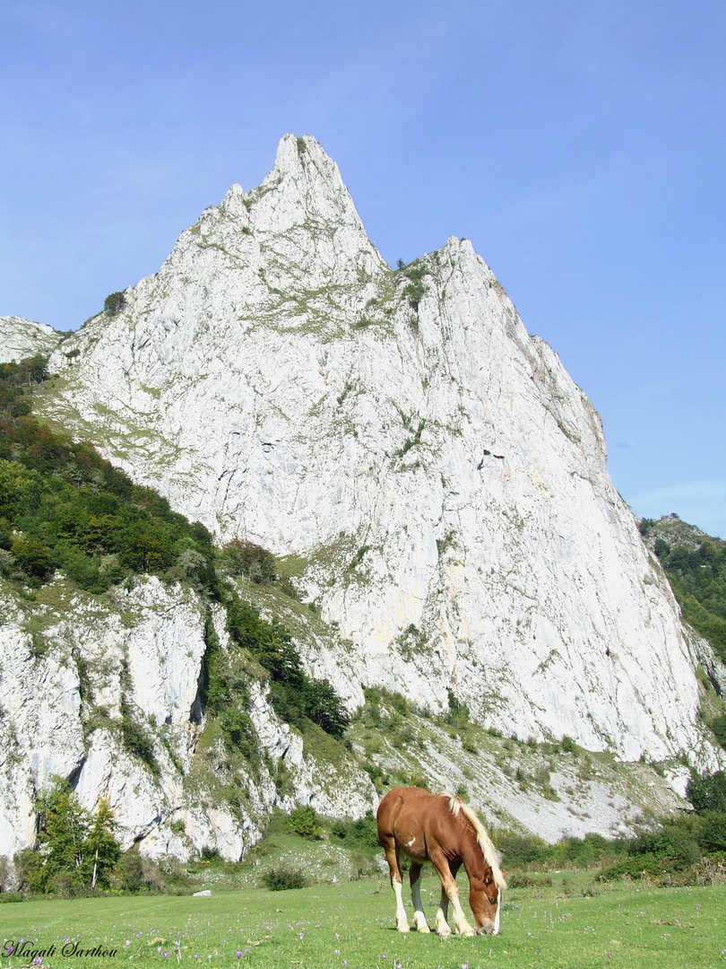 La montagne à cheval