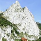 La montagne à cheval