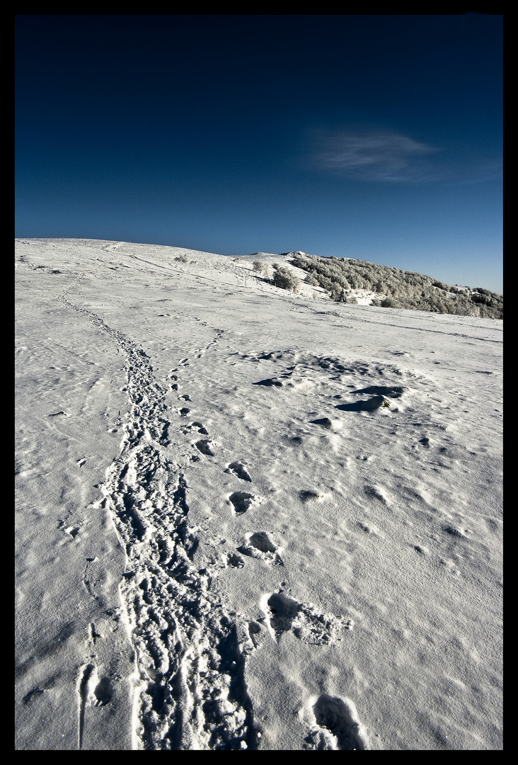 La montagne , ca vous gagne