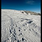 La montagne , ca vous gagne