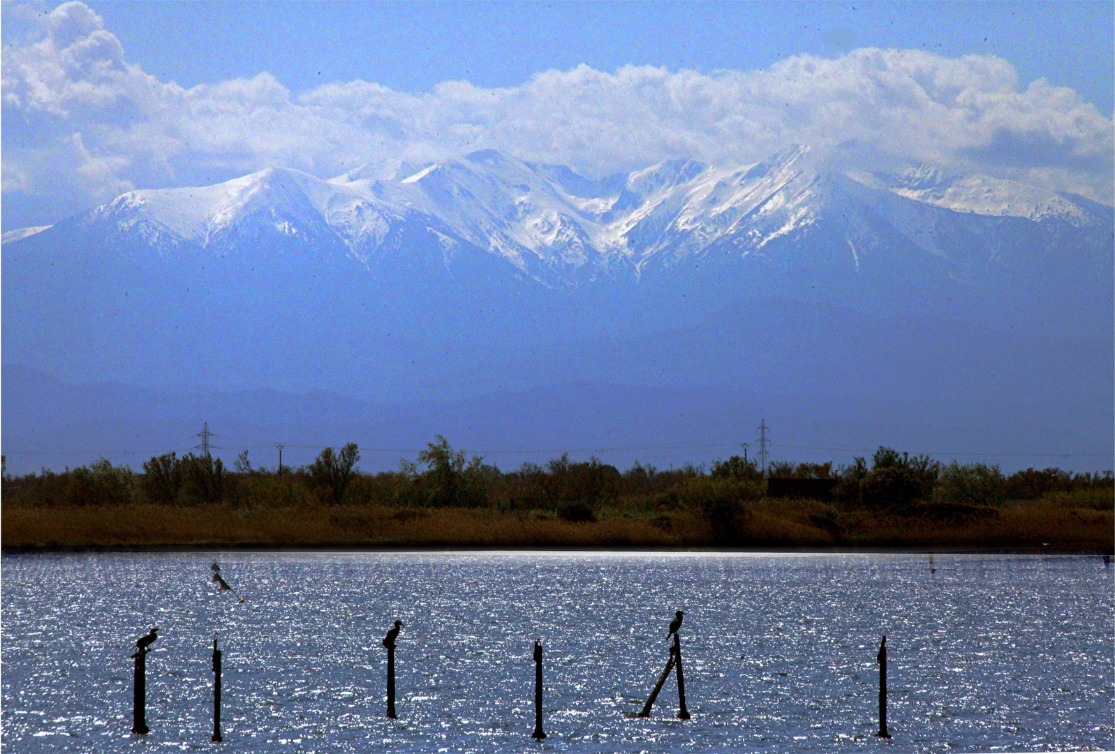 LA MONTAGNE DU CANIGOU VU DE L'ETANG DE LEUCATE  ORIGINAL JPEG