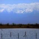 LA MONTAGNE DU CANIGOU VU DE L'ETANG DE LEUCATE  ORIGINAL JPEG