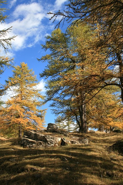 La montagne en automne by zanfifotos 