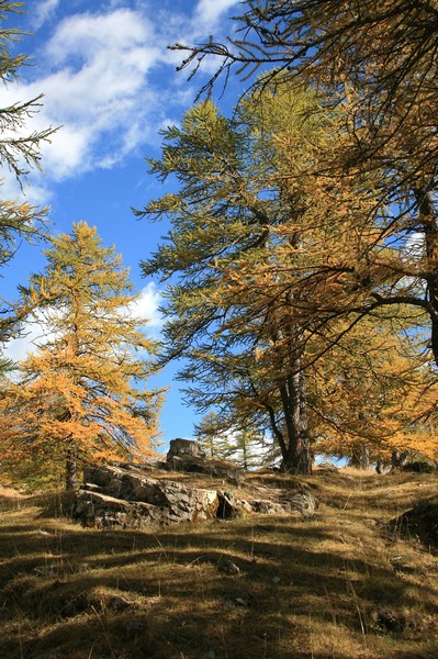 La montagne en automne