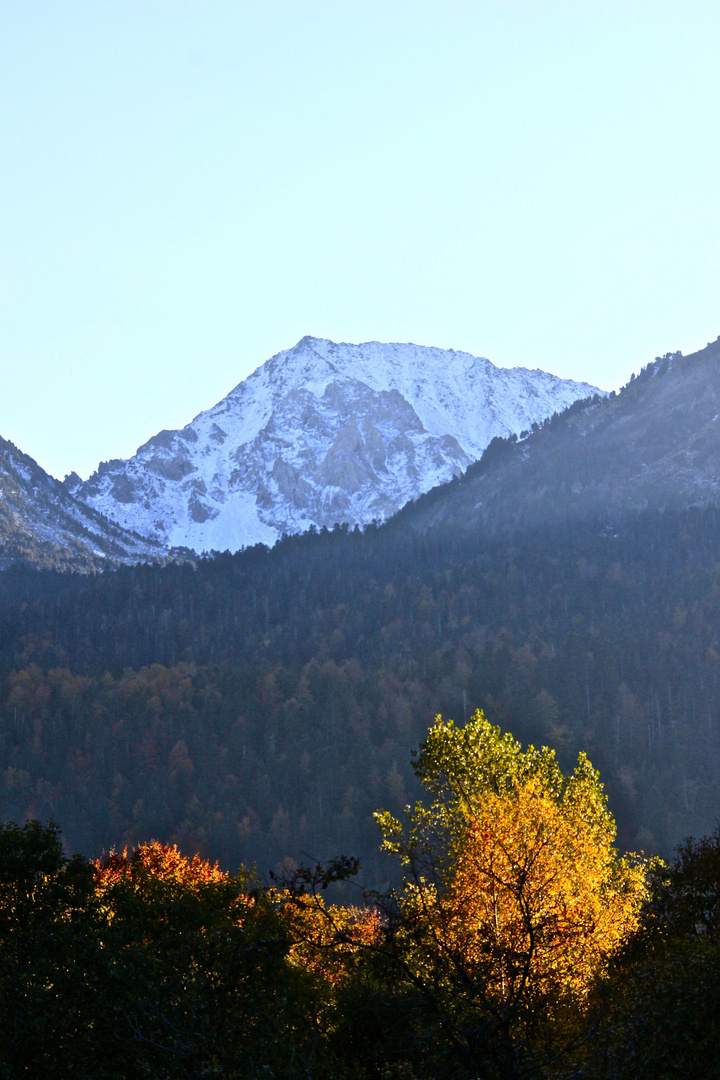 la montagne enneigée en automne