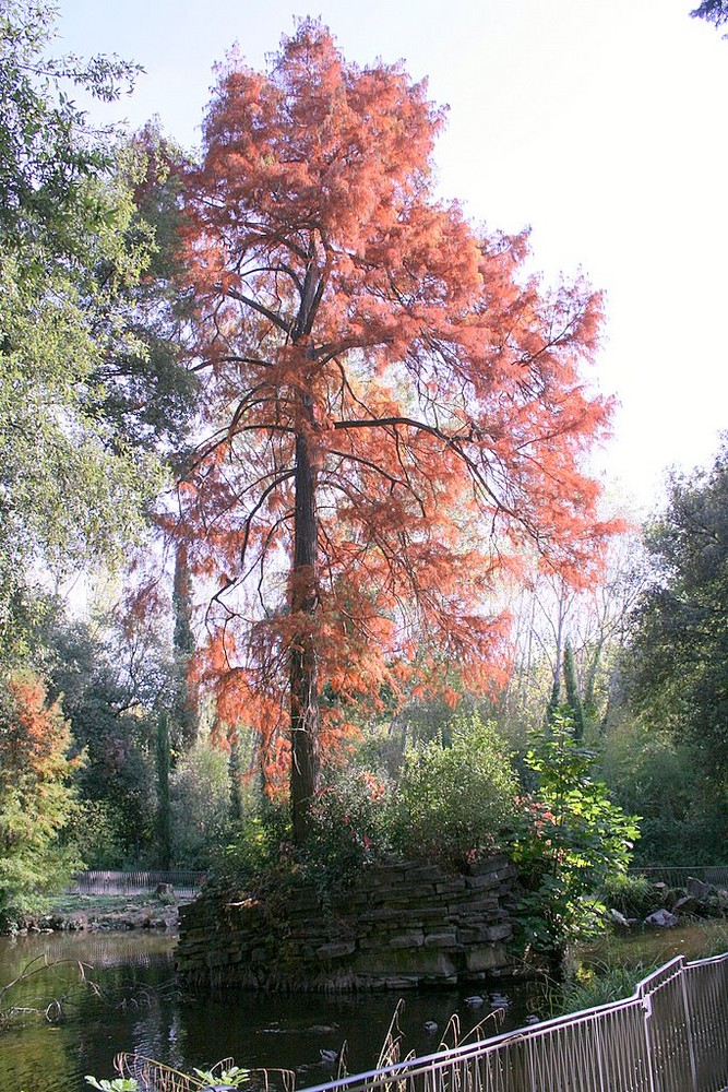 "La morte ti fa bella"