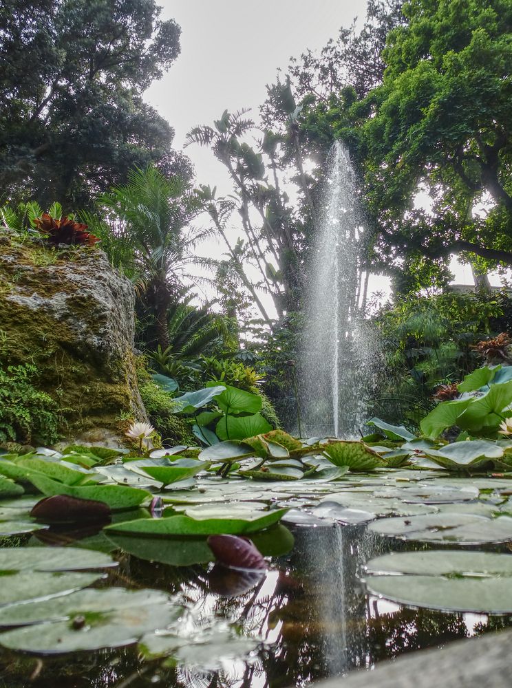 La Mortella Fountain