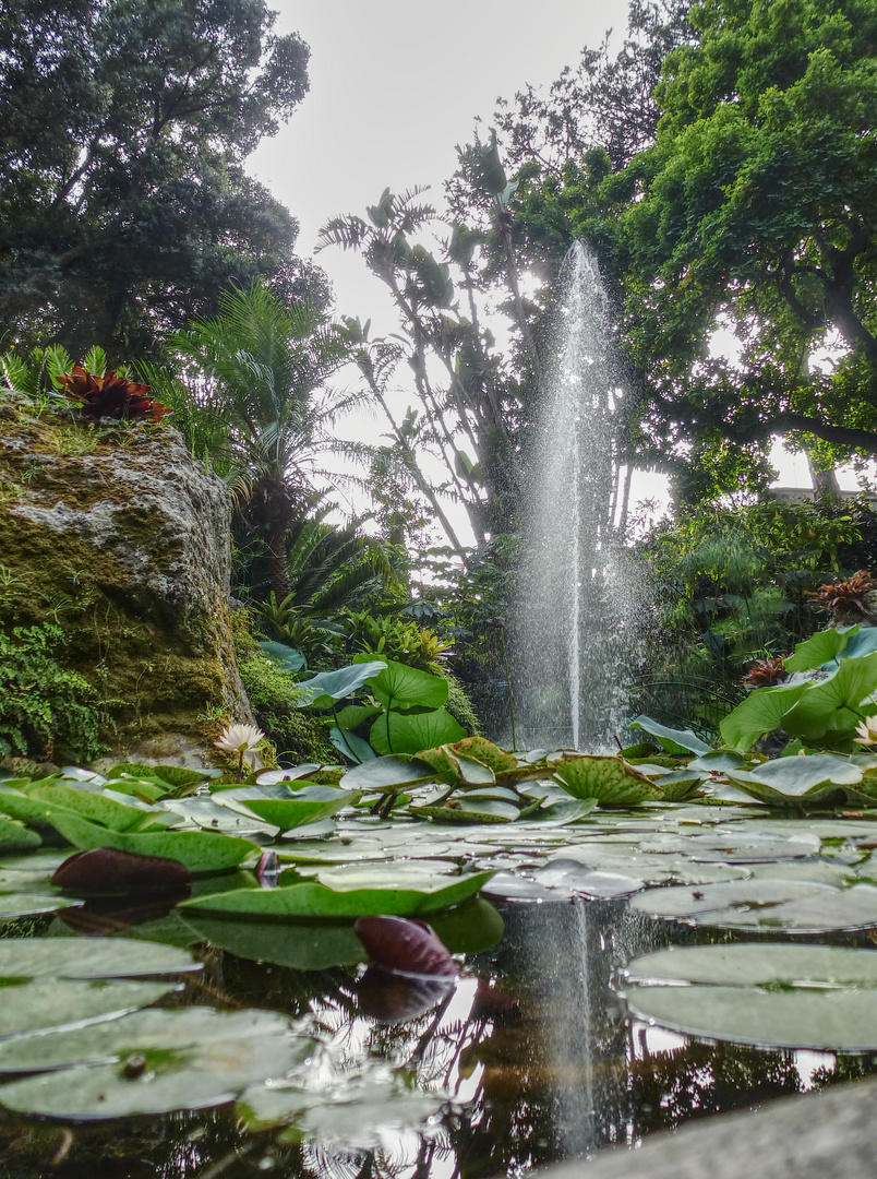 La Mortella Fountain