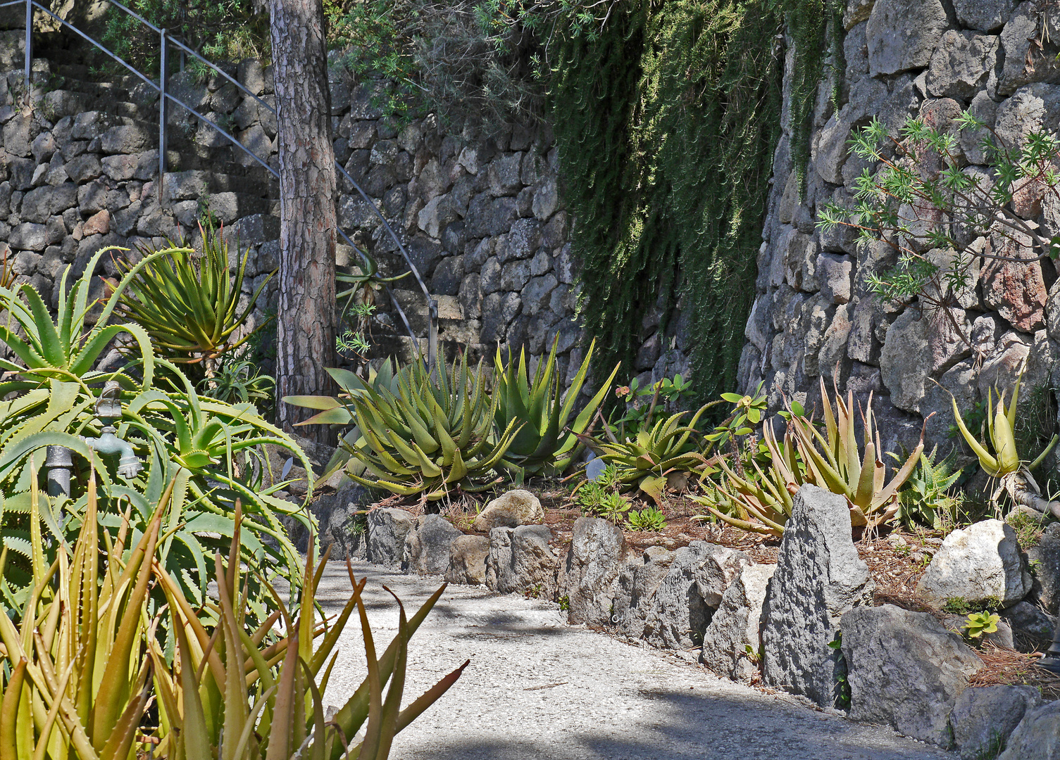 La Mortella - Ischia