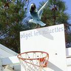 La Mouette