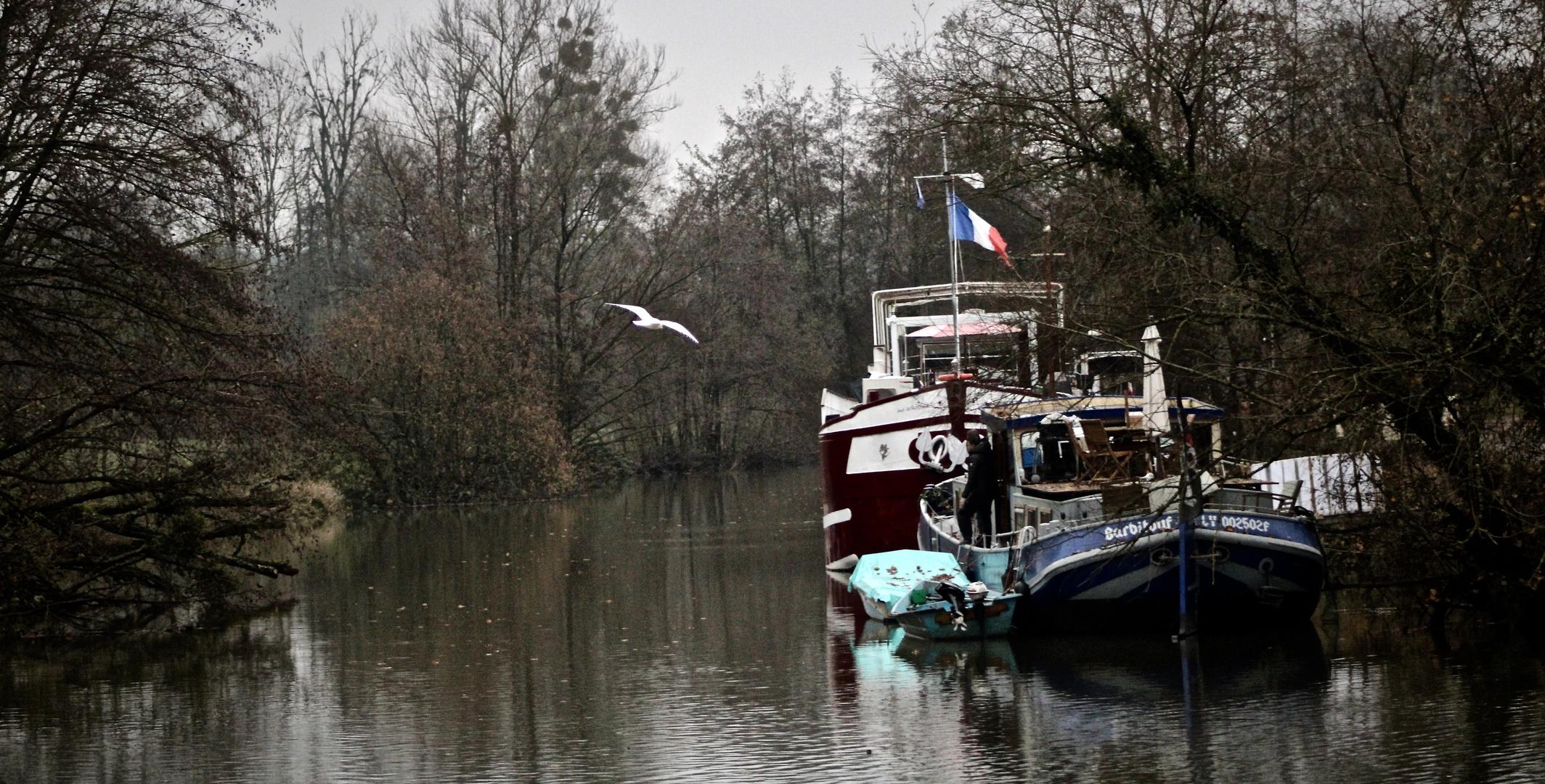 ... la mouette !!!...