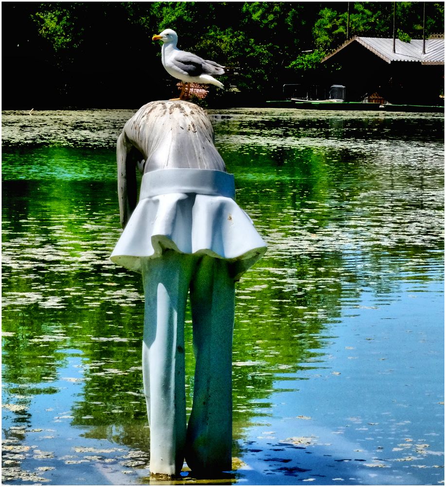 La mouette et la dame du lac