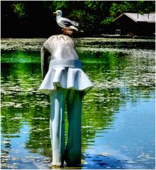 La mouette et la dame du lac