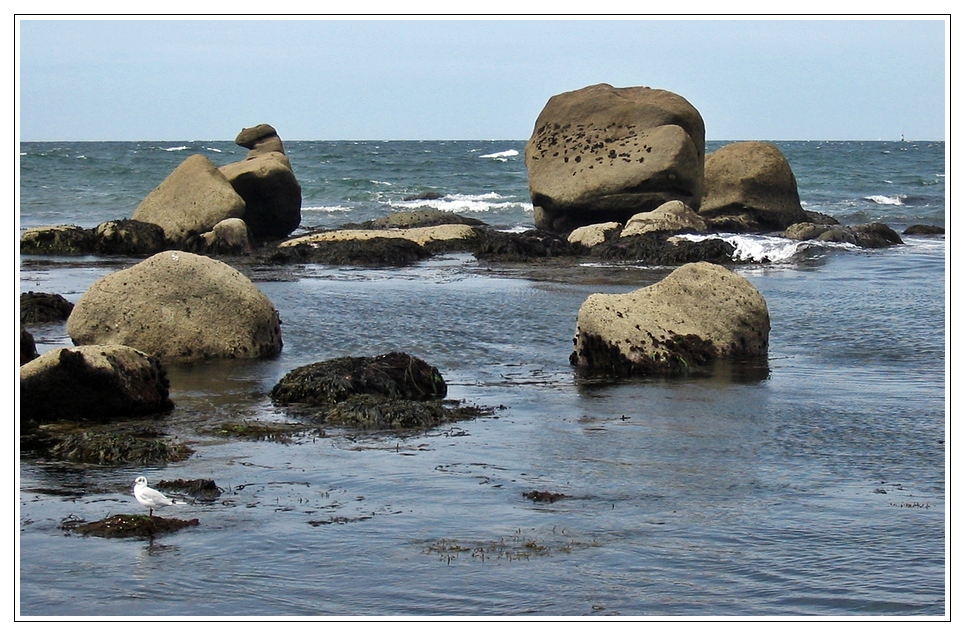 La mouette et les rochers ...