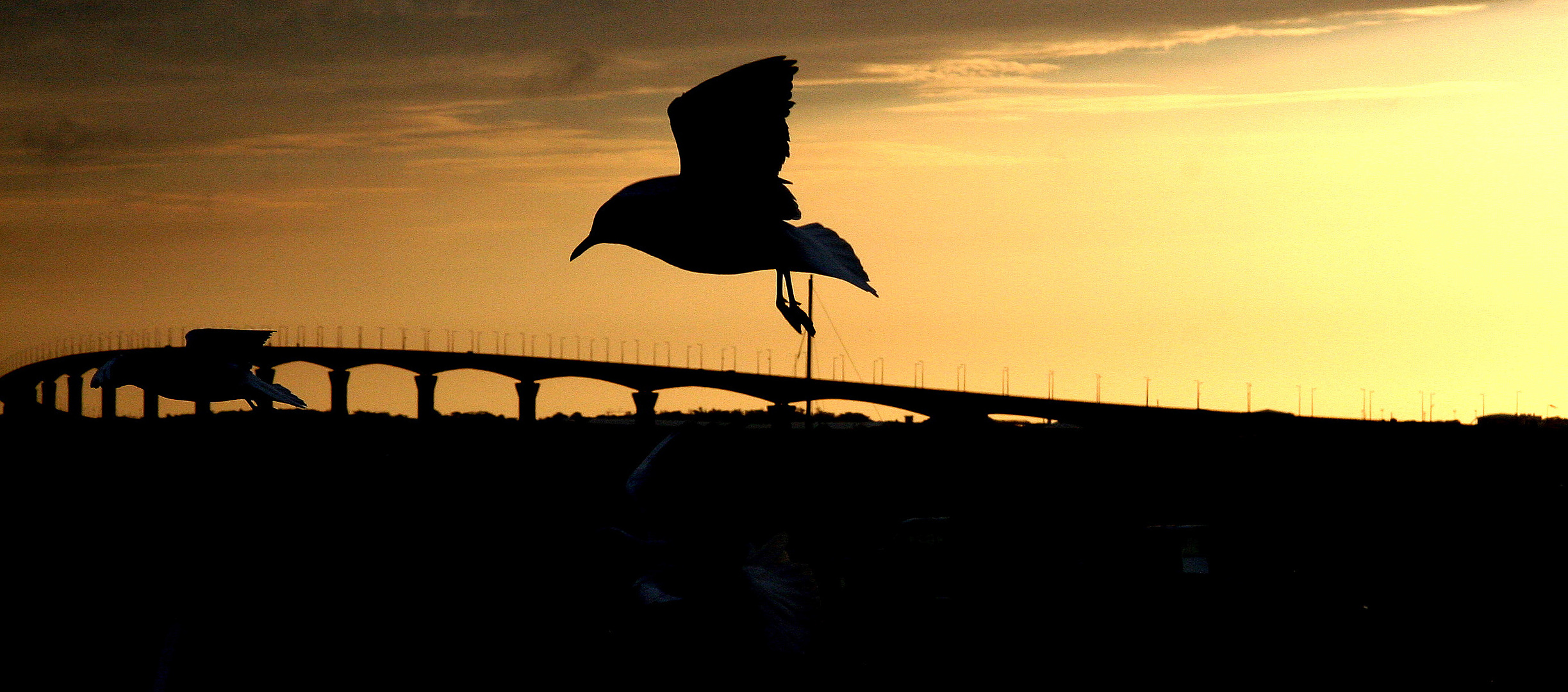 La MoUeTTe NoiRe