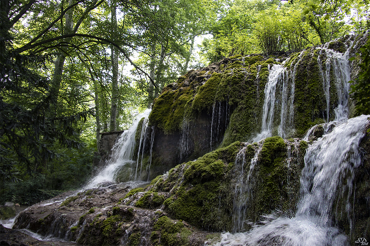 La mousse verte de la cascade.