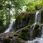 La mousse verte de la cascade.