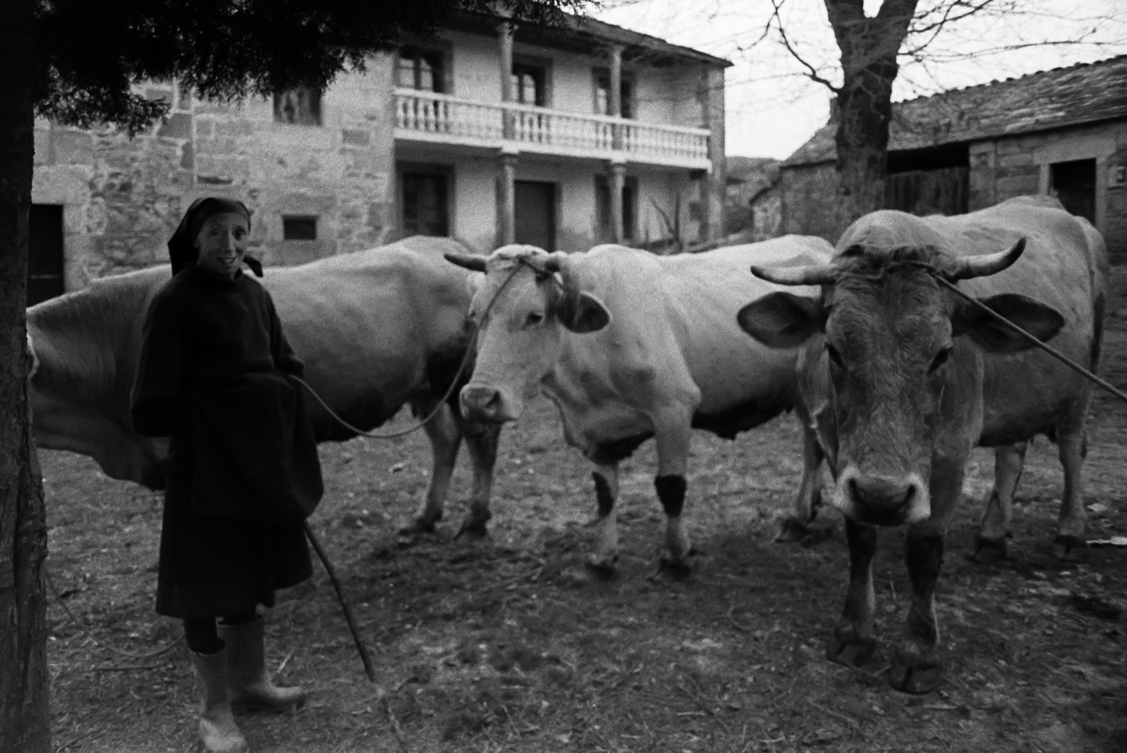 LA MUJER Y EL CAMPO