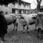 LA MUJER Y EL CAMPO