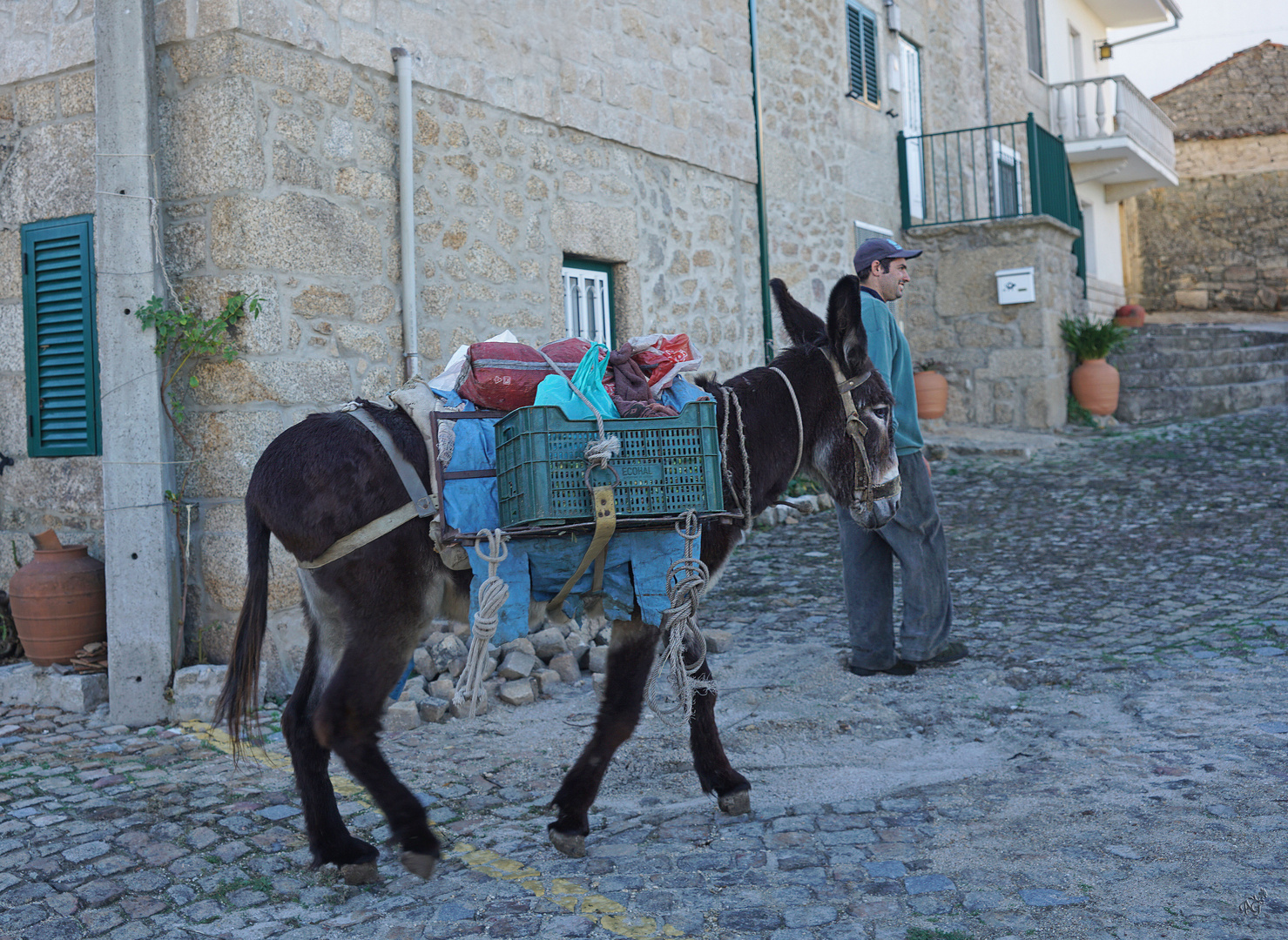 La mule était chargée !!!!!