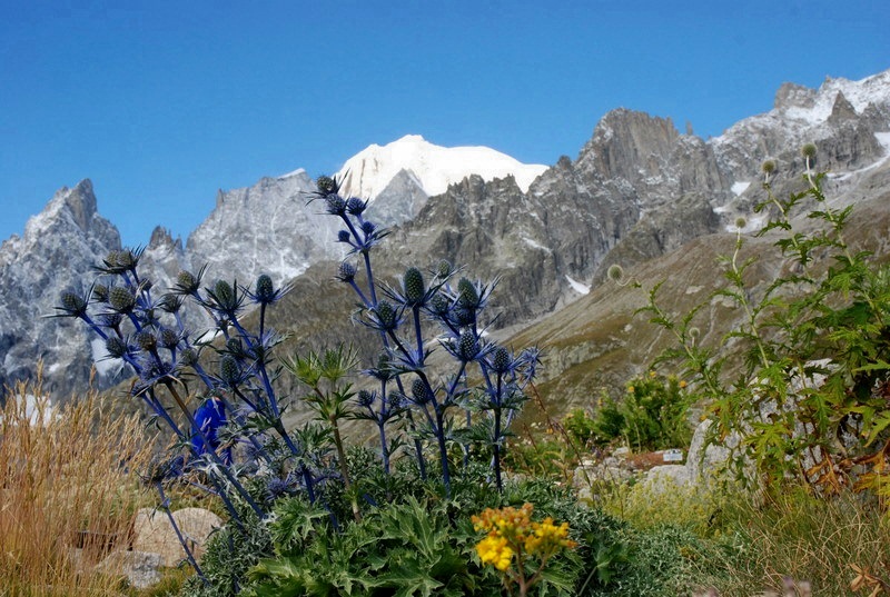 la natura