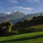 LA NATURA CAMBIA ABITO ........IN ATTESA DELLA BELLA STAGIONE