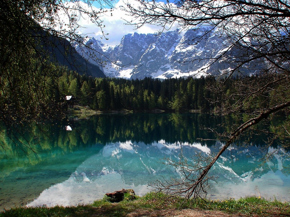 La natura c'è ancora