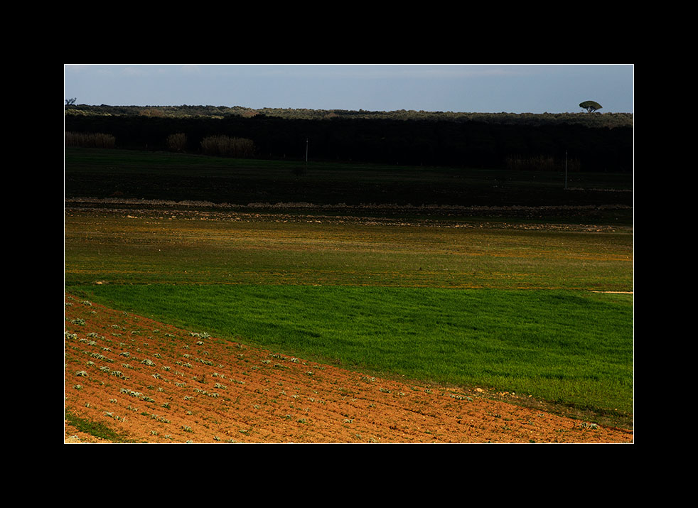 La Natura Dipinge