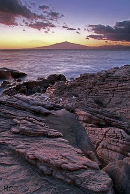 la natura e i suoi colori