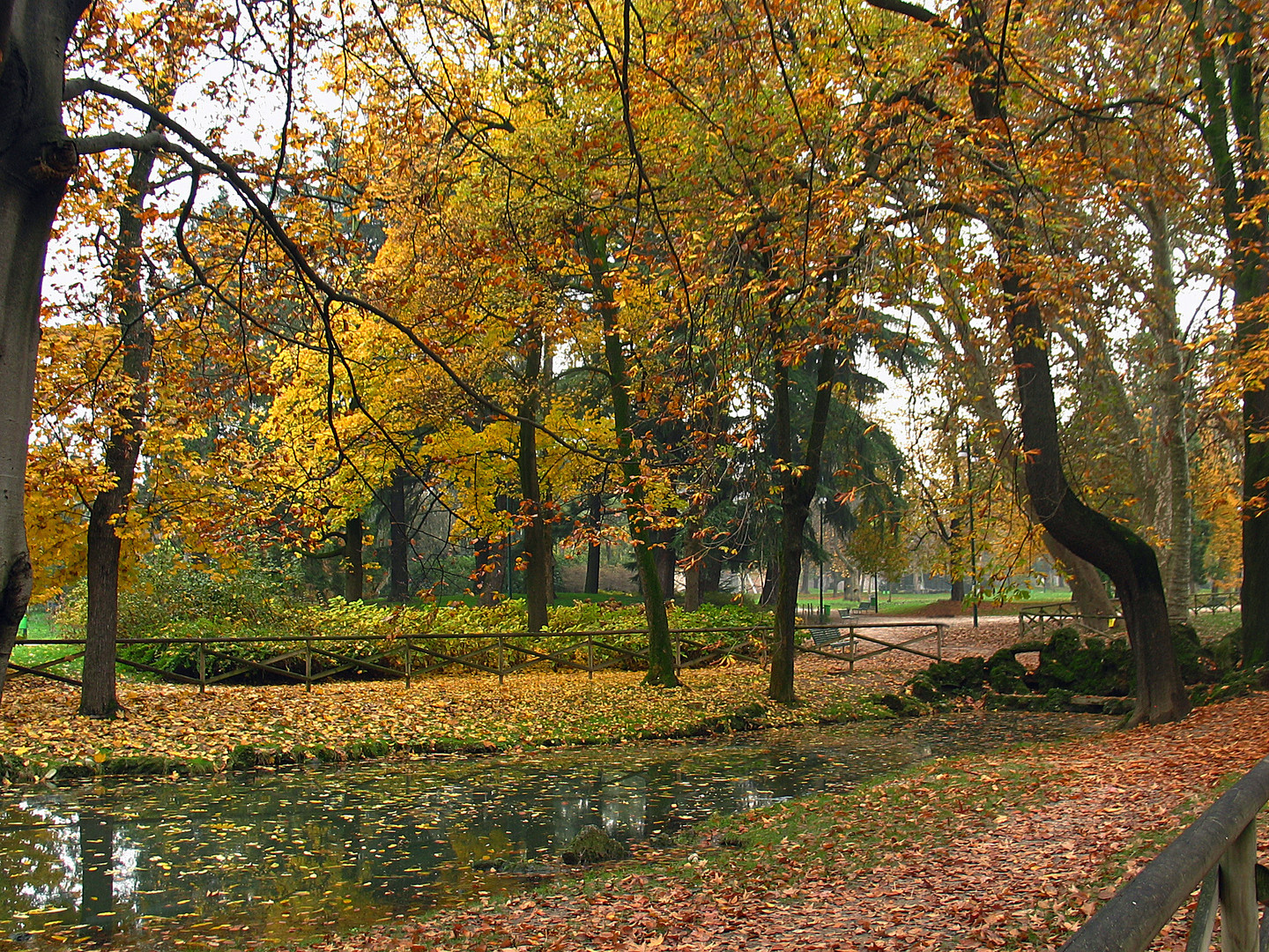 La natura e i suoi colori