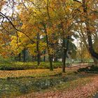 La natura e i suoi colori