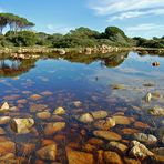 la natura e la vanità