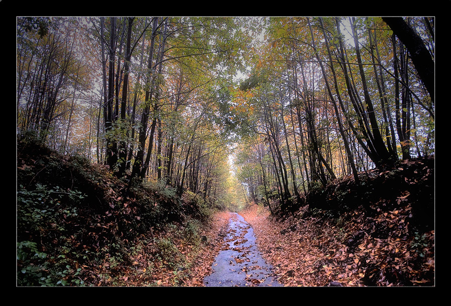 la natura entra nel sogno