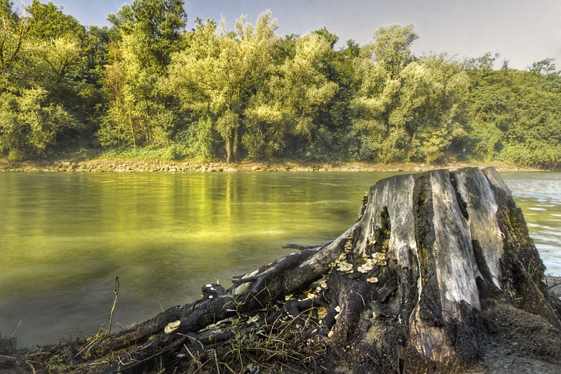 la natura fluviale