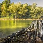 la natura fluviale